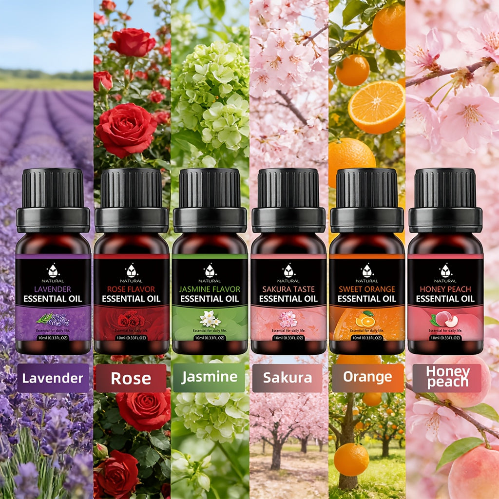Aceites esenciales y accesorios | Juego de Aceites Esenciales, 6 Botellas de Aceites Esenciales, Cada Una de 10ml, Ideal para Difusores, Velas