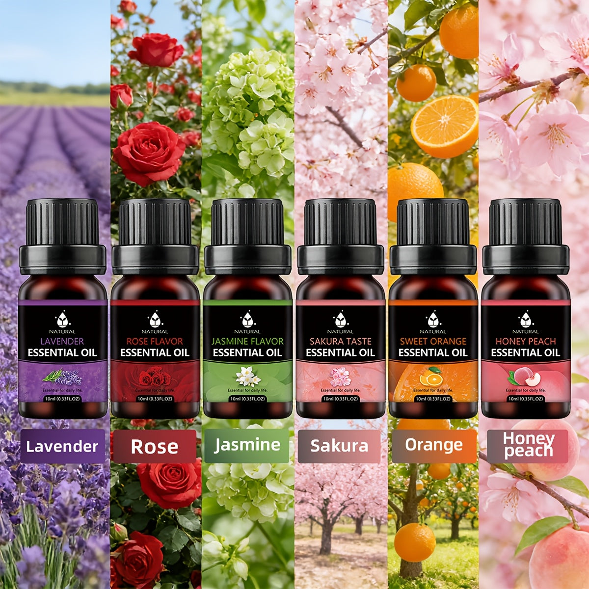 Aceites esenciales y accesorios | Juego de Aceites Esenciales, 6 Botellas de Aceites Esenciales, Cada Una de 10ml, Ideal para Difusores, Velas