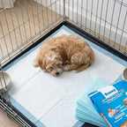 80 unidades de Empapadores para Mascotas | Empapadores para Entrenamiento de Perros y Cachorros | Absorción Rápida | Diseño Antifugas | Adecuados para Entrenamiento en Interiores o Uso en Exteriores | Tamaños: 40×50CM, 60×60CM, 60×90CM | Adecuados para Ma