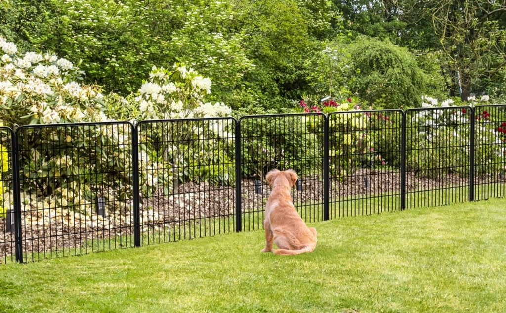 Costoffs Jaula para Perros de 80 x 60 cm con Puerta y Anillos para Piso, Ideal para Uso Interior y Exterior