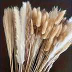 Ramo de Flores Secas de Hierba de las Pampas 200 piezas, Cola de Conejo 43.18 cm, Flores Naturales Esponjosas y Pomposas para Decoración de Bodas, Hogar o Fiestas - Estilo Bohemio (Clásico)
