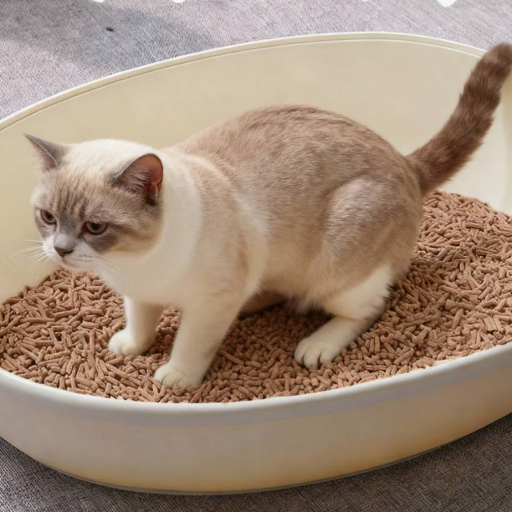 La arena para gatos se aglomera en segundos Arena para gatos para plantas Arena para gatos desodorizante, libre de polvo y sin mezclar Suministros para mascotas fáciles de almacenar