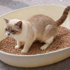 La arena para gatos se aglomera en segundos Arena para gatos para plantas Arena para gatos desodorizante, libre de polvo y sin mezclar Suministros para mascotas fáciles de almacenar