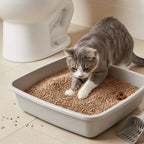 La arena para gatos se aglomera en segundos Arena para gatos vegetal Arena para gatos desodorizada, sin polvo y sin mezcla Suministros para mascotas fáciles de almacenar - 1 bolsa Varios sabores