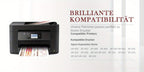 Cartuchos de tinta 29XL compatibles con Epson 29XL Multipack para Expression Home XP-235 XP-245 XP-247 XP-332 XP-335 XP-342 XP-345 XP-432 XP-435 XP-442 XP-445 (Paquete de 12)