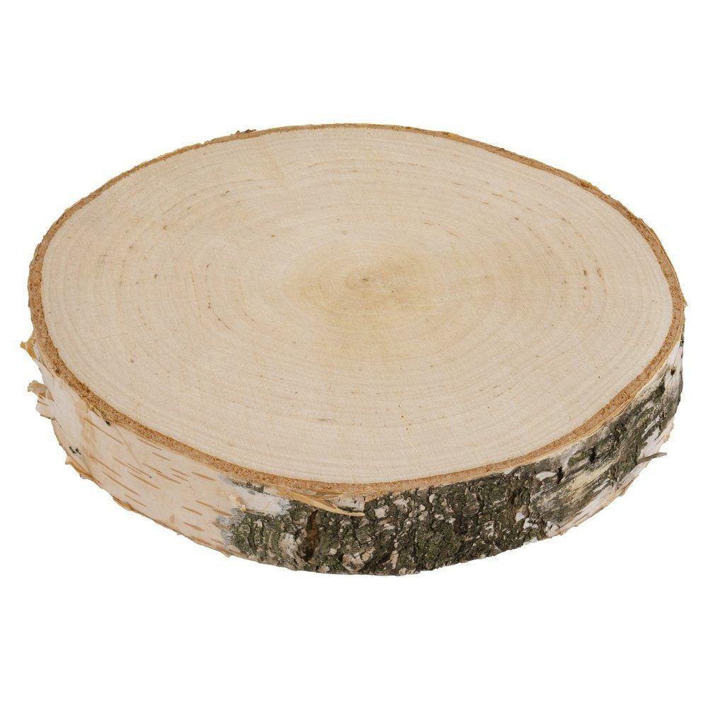 Lámina de Madera de Abedul 17–20 cm con Corteza Natural Redonda | Cortada a Mano, Cruda, Pulida, Producción de Poli | Perfecta para Decoraciones DIY, Adornos, Portavelas, Decoupage, Pirograbado, Transferencia de Fotos, Bodas Boho | Estructura de Veta Únic