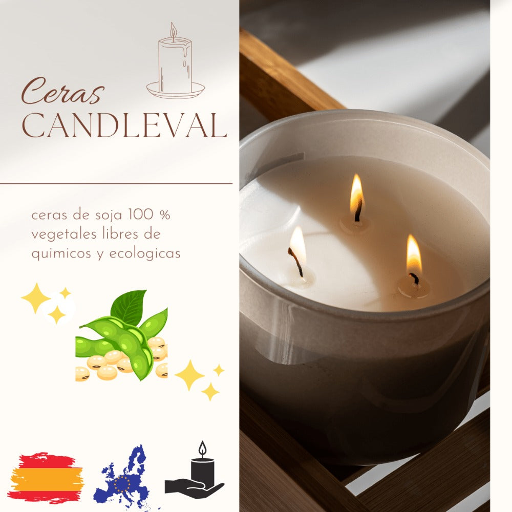 Cera de Soja de Bajo Punto de Fusión