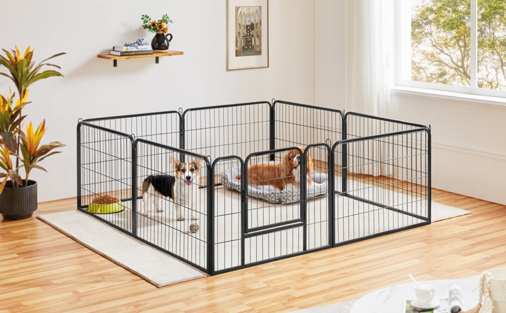 Costoffs Jaula para Perros de 80 x 60 cm con Puerta y Anillos para Piso, Ideal para Uso Interior y Exterior