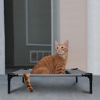 Cama para Perros con Dosel, Cama Elevada para Mascotas con Techo y Estructura de Hierro, Colchón para Dormir de Mascotas, Cama para Gatos, Gris, 76x61x76cm, 92x76x92cm, 122x92x102cm
