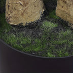 Árboles de olivo artificiales de 120/150/180/210 cm - Plantas de seda sintética con troncos de madera natural y frutos realistas, ideales para hogares, oficinas y salas de estar