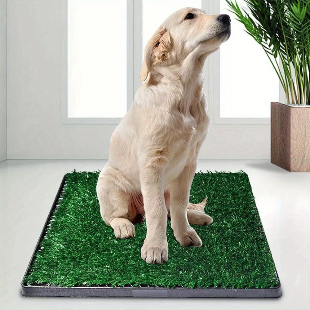 Orinal para perros, Orinal para cachorros, Césped artificial 63X50Cm