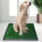 Orinal para perros, Orinal para cachorros, Césped artificial 63X50Cm