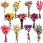 Lote de 9 - Mezcla de Flores Silvestres Secas Naturales y Adecuadas para Manualidades con Hierba de Pampas, Lavanda, Nomeolvides, Aliento - Ramos Multicolor con Tallos para Arreglos Florales DIY, Velas de Resina, Scrapbooking, Fabricación de Jabones, Tarj