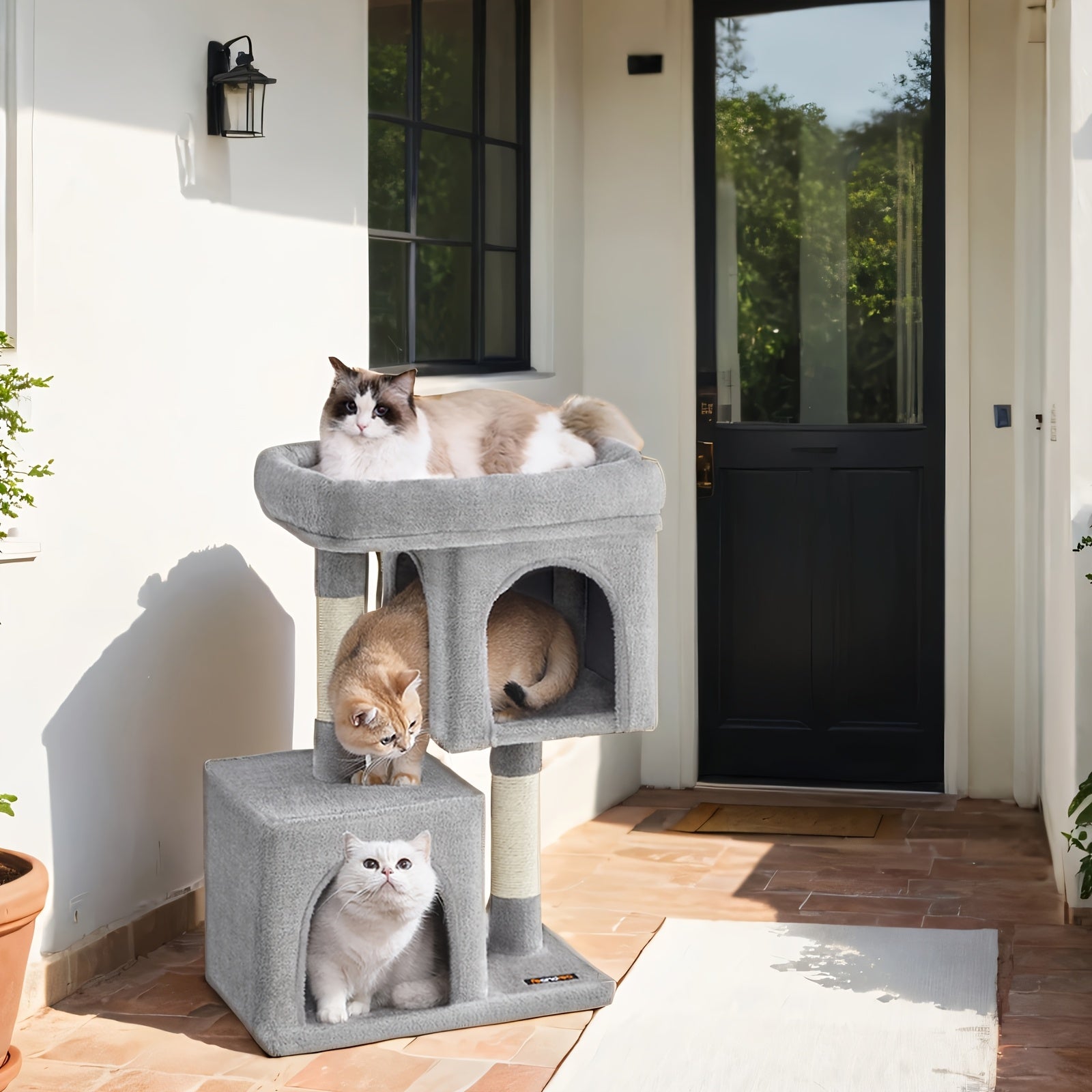 Árboles y torres para gatos | Árbol para Gatos, Torre de 74 cm, M, Condominio para Gatos Medianos hasta 5 kg, Percha Grande, 2 Cuevas y Rascador