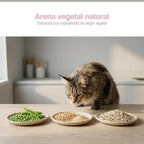 4PCS Arena de Tofu para Gatos aglomera 6L - Sin Polvo Fácil de Aglomerar y Controla Olores -y Segura para Gatitos 2-2.3kg cada bolsa