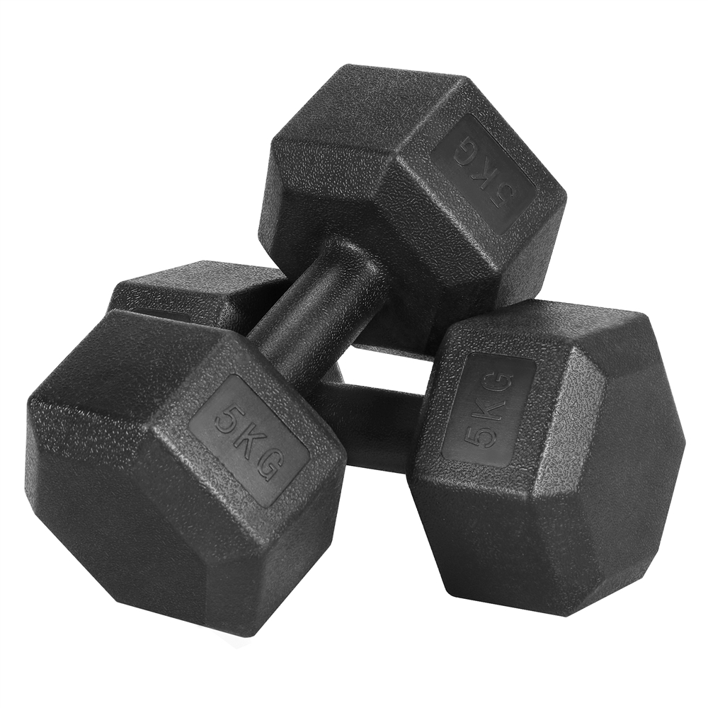 Juego de 2 Mancuernas Costoffs, Mancuernas de Hierro Fundido Hexagonales para Aeróbica, Gimnasia y Entrenamiento de Fitness