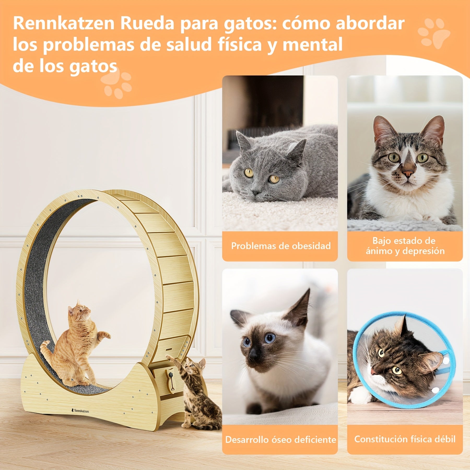 Rueda de ejercicio para gatos de madera | Actividad interior y enriquecimiento de mascotas