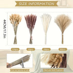 Ramo de Flores Secas de Hierba de las Pampas 200 piezas, Cola de Conejo 43.18 cm, Flores Naturales Esponjosas y Pomposas para Decoración de Bodas, Hogar o Fiestas - Estilo Bohemio (Clásico)