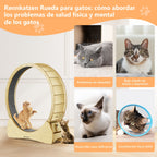 Rueda de ejercicio de madera para gatos de madera | Interior, actividad y bienestar felino
