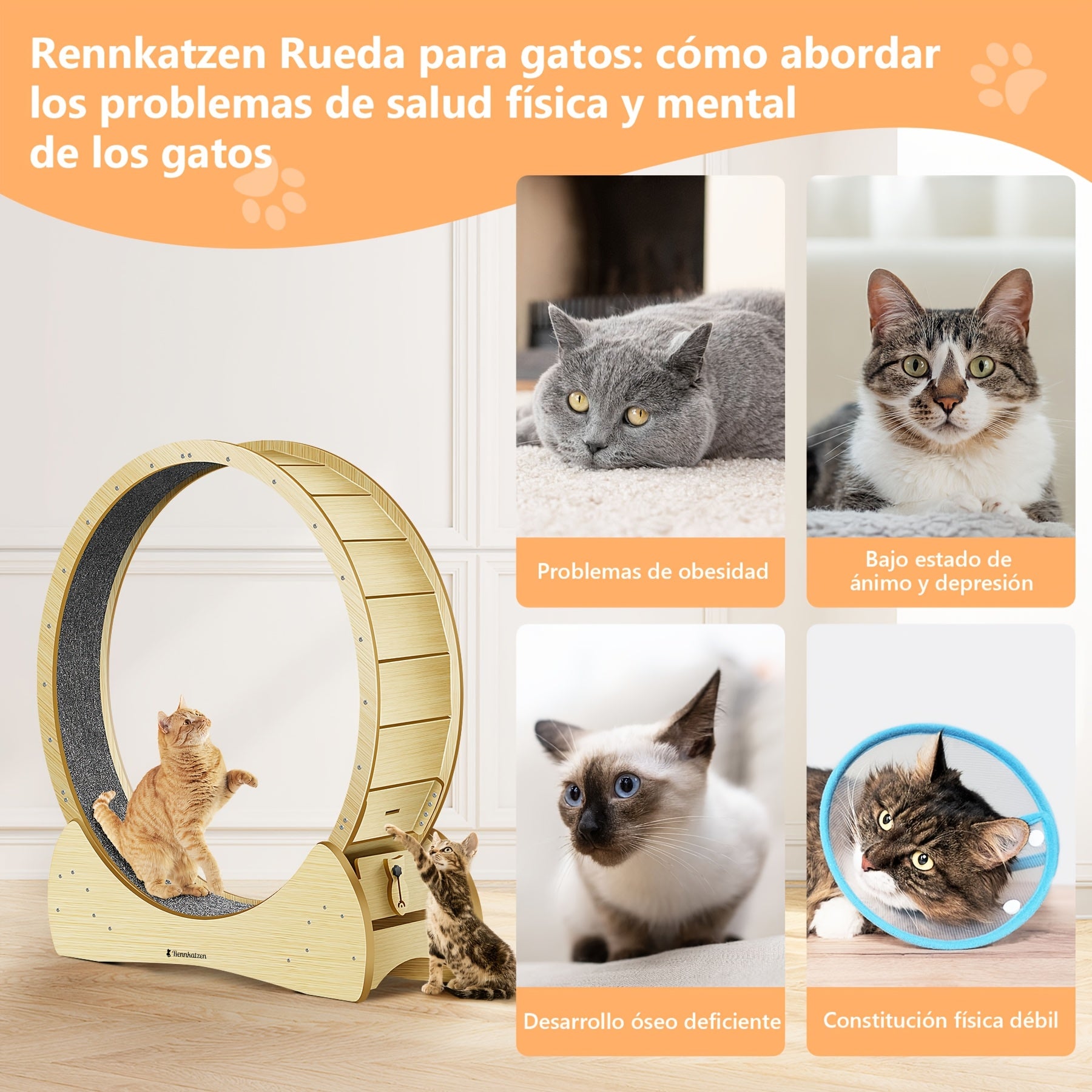 Rueda de ejercicio de madera para gatos de madera | Interior, actividad y bienestar felino