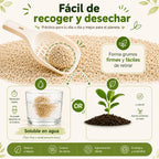 Arena de Tofu para Gatos 6L x 4 Bolsas – Ultra Aglomerante, Sin Polvo, Control de Olores, Absorbente y Segura para Gatitos