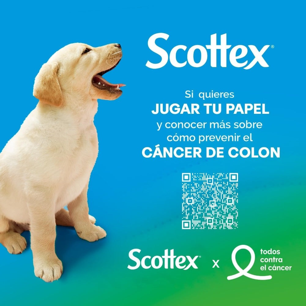 Scottex Papel Higiénico, Rollos De Dos Capas Que Proporcionan El Equilibrio Correcto De Suavidad Y Resistencia