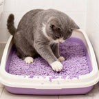 La arena para gatos se aglomera en segundos Arena para gatos para plantas Arena para gatos desodorizante, libre de polvo y sin mezclar Suministros para mascotas fáciles de almacenar