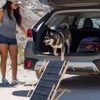 Escaleras y Rampas para Perros Plegables y Ajustables en Altura, Antideslizantes, Capacidad de Carga Hasta 80 kg, Rango de Ajuste de Altura de 30 cm a 60 cm