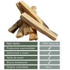 Kit de Limpieza y Purificación del Hogar con Salvia Blanca, Palo Santo - Kit de Fumigación con Varilla de Salvia