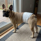 Paquete de 36 pañales desechables para perros machos, ropa interior higiénica para mascotas, suaves, absorbentes, transpirables y cómodos, disponibles en varios tamaños, XS/S/M/L, blancos.