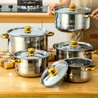Juego de 10 ollas de acero inoxidable, ollas de cocina de acero inoxidable, 5 ollas y 5 tapas, mango doble de acero inoxidable color dorado con tapa, olla profunda, ideal para cocinar en casa y en restaurantes, ideal para sopa, fondue, fideos, pasta