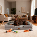 Cama para perros | Descanso cómodo en casa