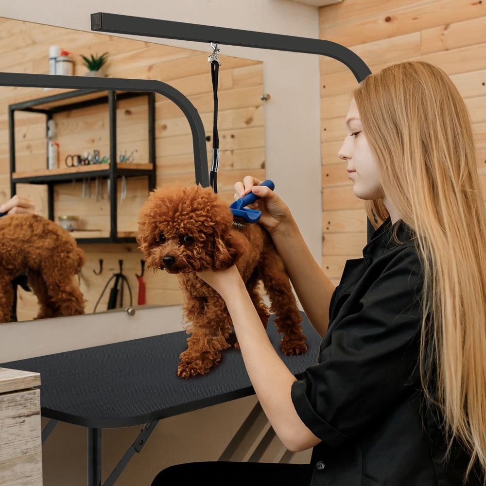 Mesa de peluquería ajustable en altura para perros y gatos, con hebilla y diseño plegable