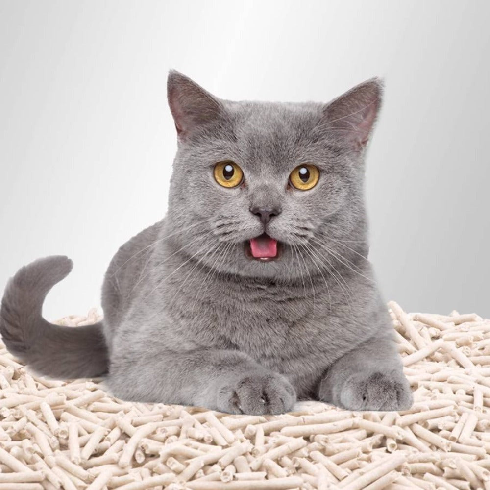 La arena para gatos se aglomera en segundos Arena para gatos para plantas Arena para gatos desodorizante, libre de polvo y sin mezclar Suministros para mascotas fáciles de almacenar
