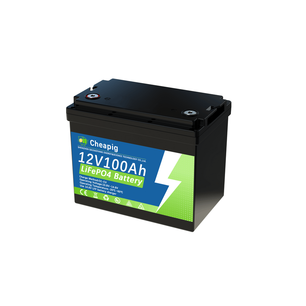 Batería de Litio Hierro Fosfato 12V 100Ah, 8000+ Ciclos Profundos y Más de 12 Años de Vida Útil, Batería de Alta Capacidad 1280WH para Campistas, Viajeros, Autocaravanas, Furgonetas Camper, Barcos Marinos, Yates, Almacenamiento de Energía Doméstica, Vida