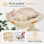 Árbol para Gatos Deluxe Pawz Road con Poste Rascador de Cuerda de Sisal - Condominio Multinivel de Peluche y Casa de Juegos, Muebles Duraderos para Gatos Pequeños a Medianos, Incluye Bolas Colgantes y de Pie, Muebles para Gatos