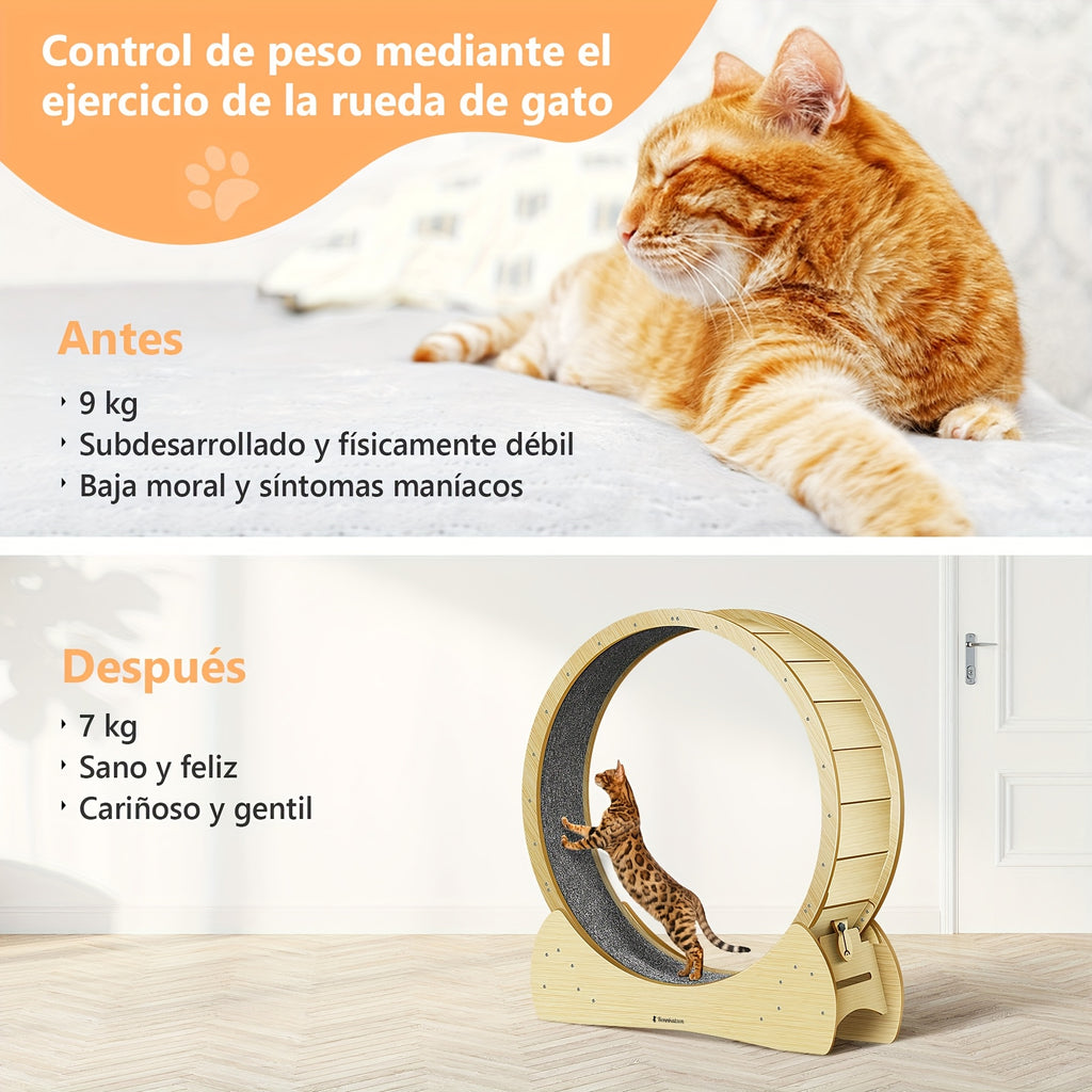 Rueda de ejercicio para gatos de madera | Actividad interior y enriquecimiento de mascotas