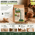 Tierra de Diatomeas Premium – 100% Natural | Polvo Ultrafino 1,3 kg |Múltiples Aplicaciones | Alta Pureza Super Blanca | Vegano y Seguro