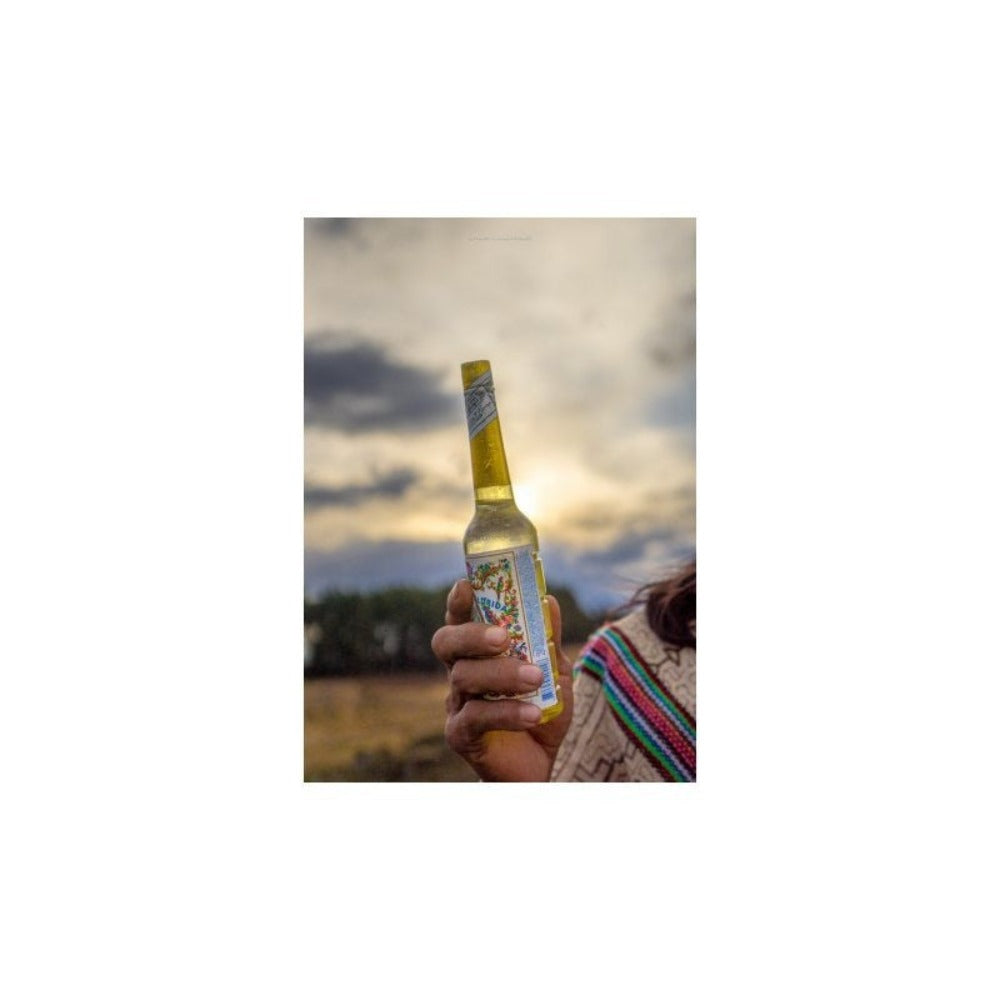 Florida Agua Pack 3 Botellas de 270ml. Murray Y LanMan. 810 ml Total. Amarilla Original