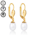 Un par de aretes de plata 925 para dama, con cierre en forma de D bañado en oro de 18k, elegantes y lujosos, adecuados para uso diario o banquetes nocturnos, regalo del Día de la Madre, empaquetados en caja de regalo