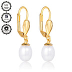 Un par de aretes de plata 925 para dama, con cierre en forma de D bañado en oro de 18k, elegantes y lujosos, adecuados para uso diario o banquetes nocturnos, regalo del Día de la Madre, empaquetados en caja de regalo