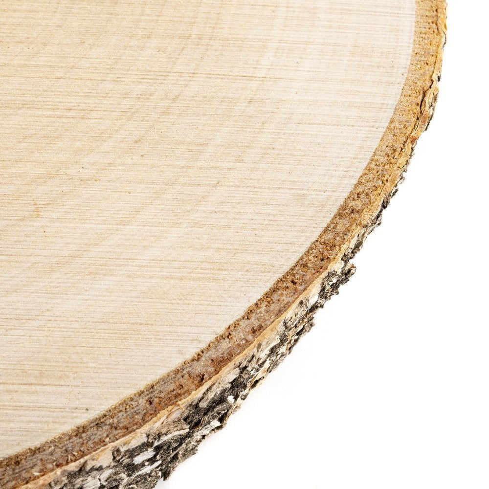 Lámina de Madera de Abedul 17–20 cm con Corteza Natural Redonda | Cortada a Mano, Cruda, Pulida, Producción de Poli | Perfecta para Decoraciones DIY, Adornos, Portavelas, Decoupage, Pirograbado, Transferencia de Fotos, Bodas Boho | Estructura de Veta Únic