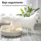 Arena de Tofu para Gatos aglomera 6L - Sin Polvo Fácil de Aglomerar y Controla Olores -y Segura para Gatitos - Pack de 4/8 Bolsas