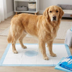 80 unidades de Empapadores para Mascotas | Empapadores para Entrenamiento de Perros y Cachorros | Absorción Rápida | Diseño Antifugas | Adecuados para Entrenamiento en Interiores o Uso en Exteriores | Tamaños: 40×50CM, 60×60CM, 60×90CM | Adecuados para Ma
