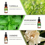 Aceites esenciales y accesorios | Set de 5 goteros para aceites esenciales, difusor de aroma, velas perfumadas, quemador de aceite aromático