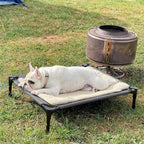 Cama para Perros con Dosel, Cama Elevada para Mascotas con Techo y Estructura de Hierro, Colchón para Dormir de Mascotas, Cama para Gatos, Gris, 76x61x76cm, 92x76x92cm, 122x92x102cm