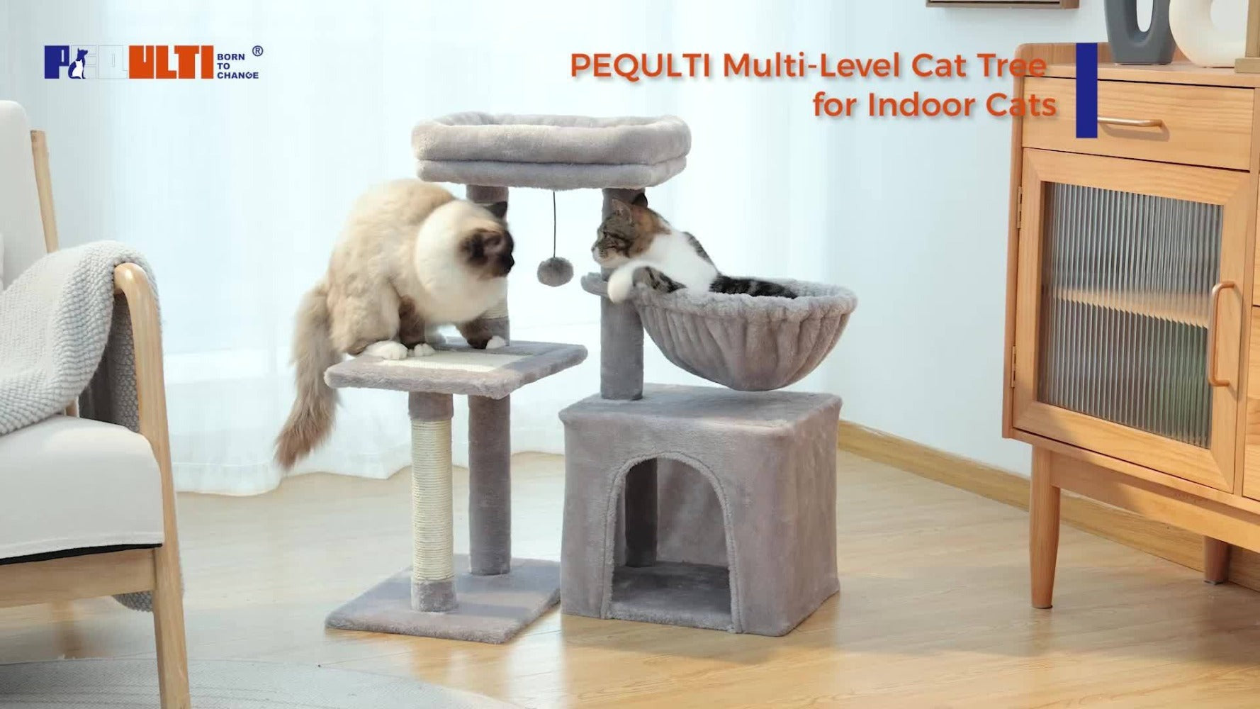 Árbol para Gatos Pequeños de Pawz Road para Interiores - Centro de Actividades Convertible 2-en-1 con Postes Rascadores, Hamaca de Peluche y Percha Superior Desmontable, Diseño Robusto Ahorrador de Espacio para Gatitos, Gris y Beige, Árbol Lindo para Gato
