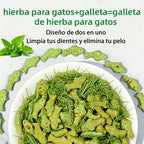 Snack para gatos | Premio y cuidado diario