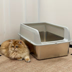 Caja de arena para gatos | Higiene interior y hogares con varios gatos