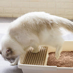 La arena para gatos se aglomera en segundos Arena para gatos vegetal Arena para gatos desodorizada, sin polvo y sin mezcla Suministros para mascotas fáciles de almacenar - 1 bolsa Varios sabores